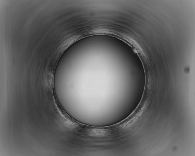 X0000100340849200806121148