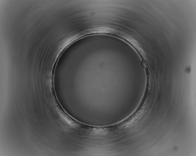 X0000100340850200806121148