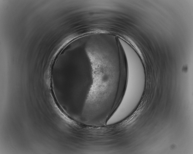 X0000100340851200806121148