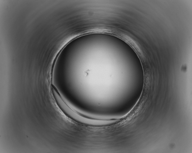 X0000100340852200806121148