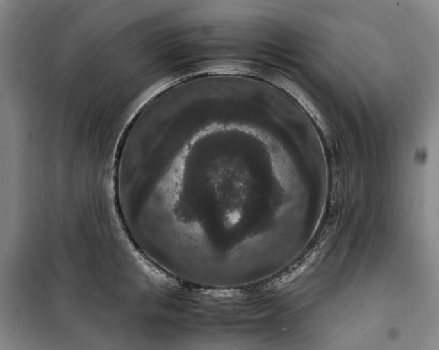 X0000100340853200806121149