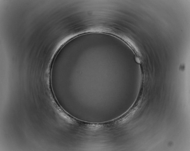 X0000100340854200806121149