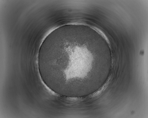 X0000100340855200806121149