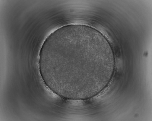 X0000100340856200806121149