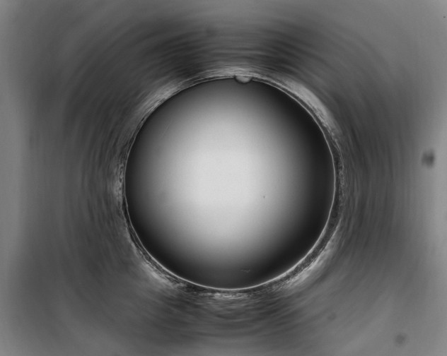 X0000100340857200806121149