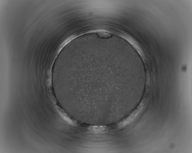 X0000100340858200806121149