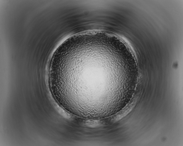 X0000100340859200806121149