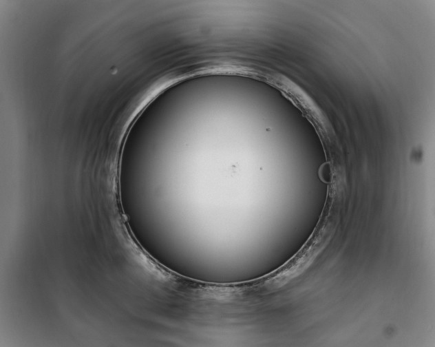 X0000100340860200806121149