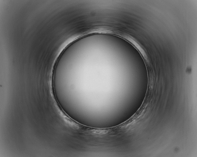 X0000100340861200806121149