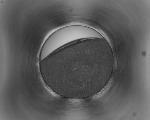 X0000100340862200806121149