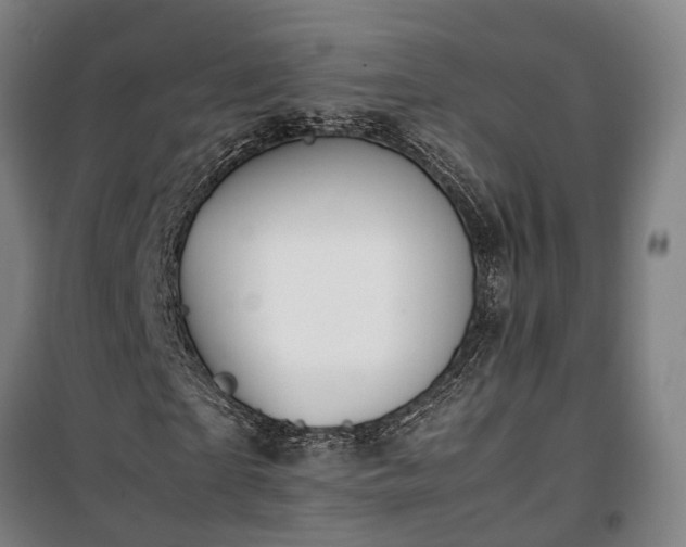 X0000100340865200806121148