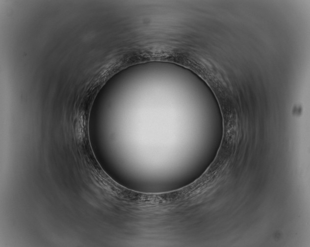 X0000100340866200806121148