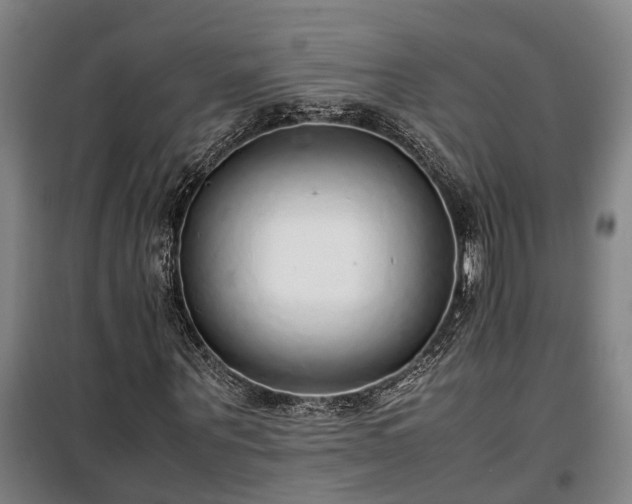 X0000100340867200806121148