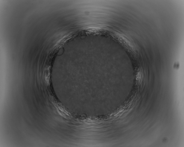 X0000100340868200806121148