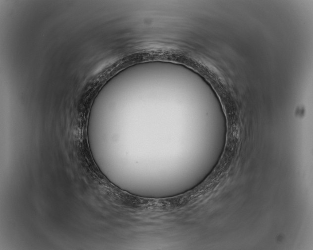 X0000100340869200806121148