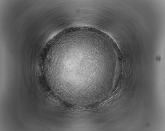 X0000100340871200806121148