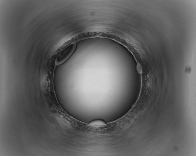 X0000100340872200806121148