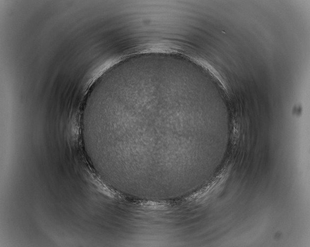 X0000100340874200806121148