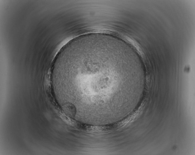 X0000100340875200806121148