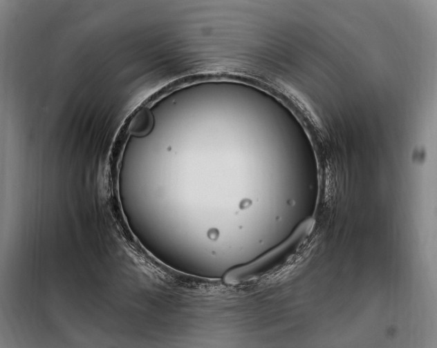 X0000100340876200806121148