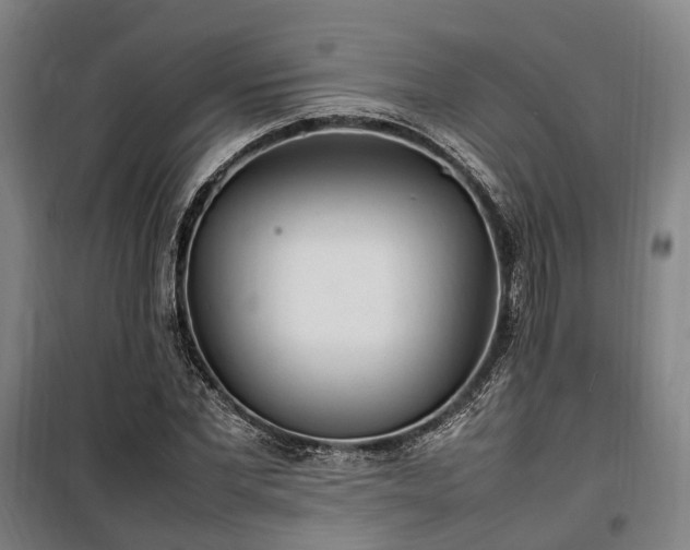 X0000100340877200806121148