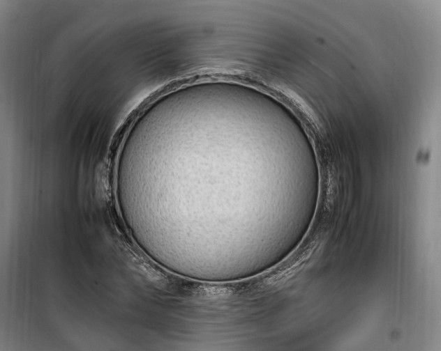 X0000100340878200806121148