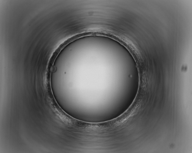 X0000100340880200806121148