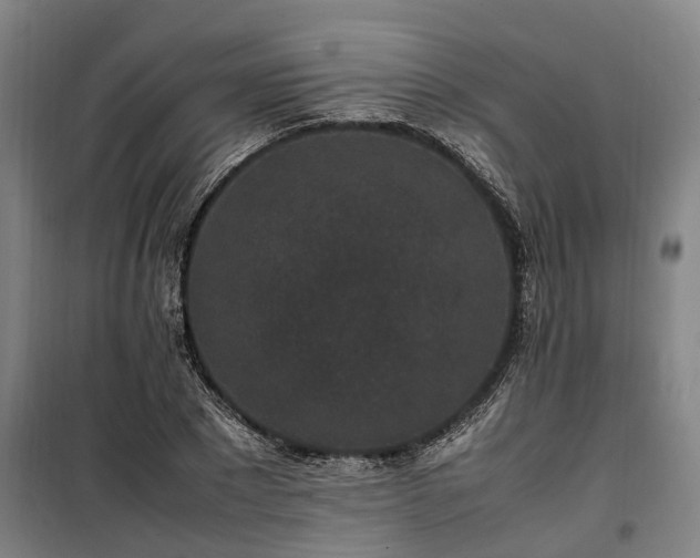 X0000100340881200806121148