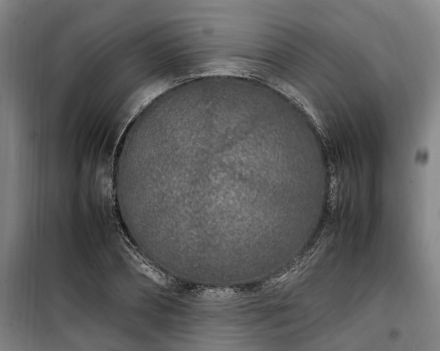 X0000100340882200806121148