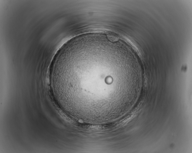 X0000100340883200806121148