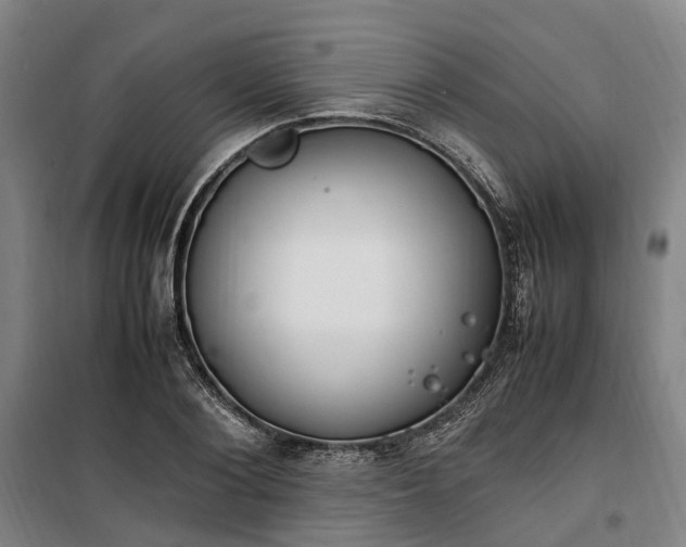 X0000100340884200806121148