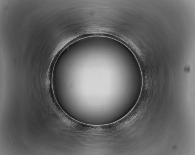 X0000100340885200806121148