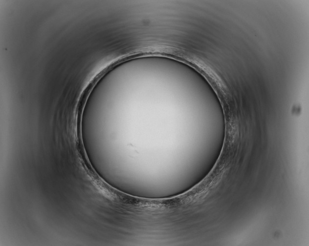 X0000100340886200806121148