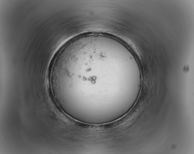 X0000100340887200806121148