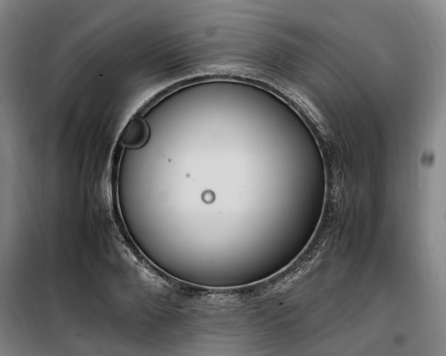 X0000100340888200806121148