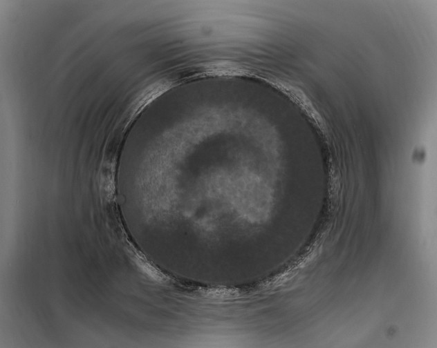 X0000100340889200806121148