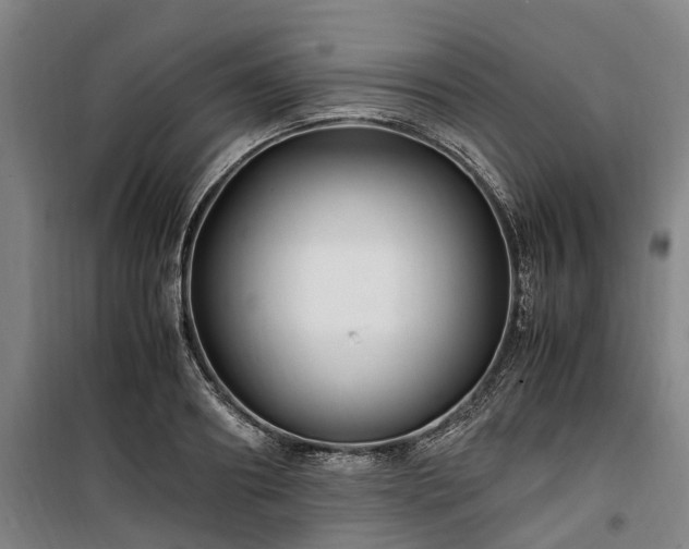 X0000100340890200806121148