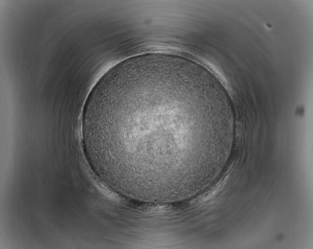 X0000100340891200806121148