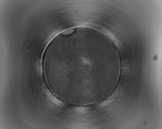 X0000100340892200806121148