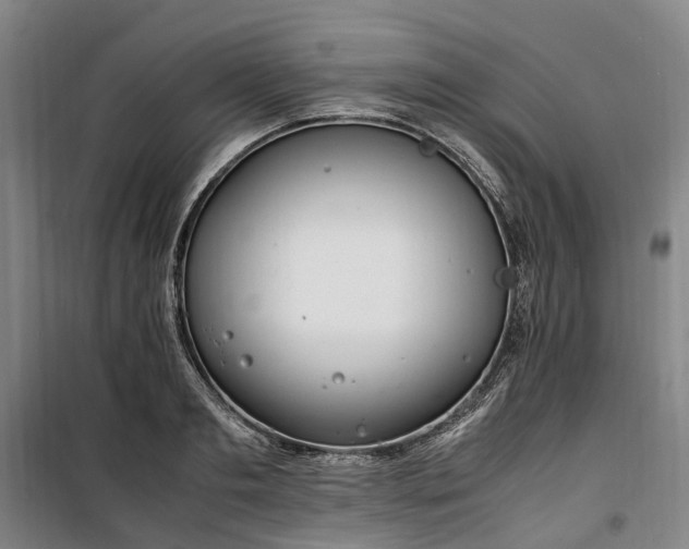 X0000100340893200806121148