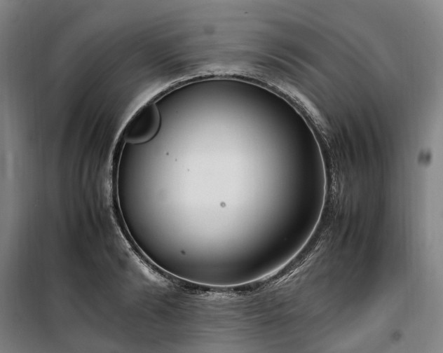 X0000100340894200806121148