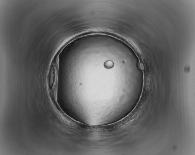 X0000100340895200806121148