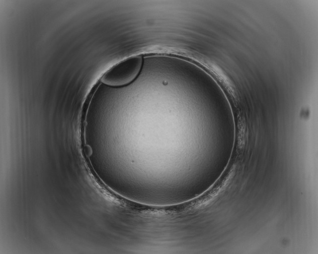 X0000100340896200806121148