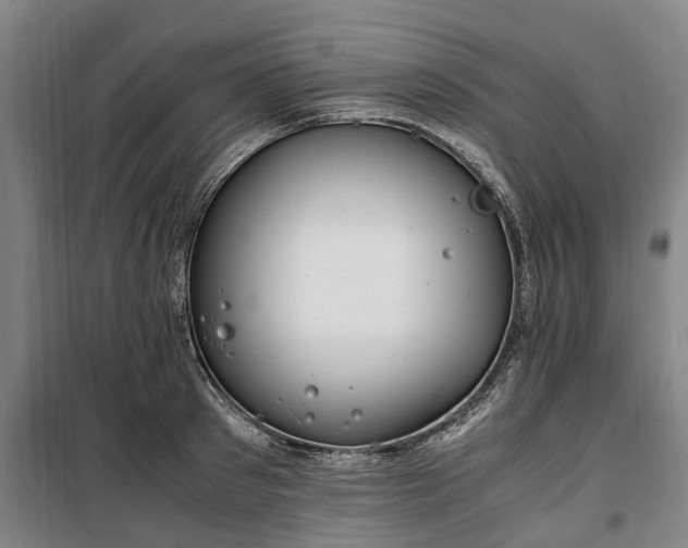 X0000100340897200806121148