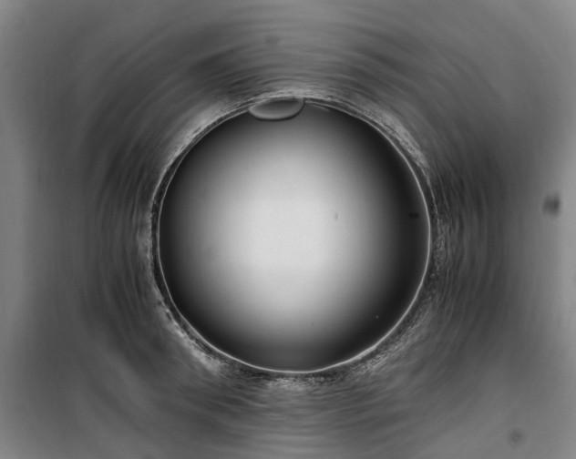 X0000100340898200806121147