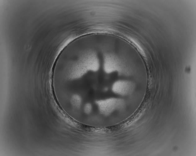 X0000100340899200806121147