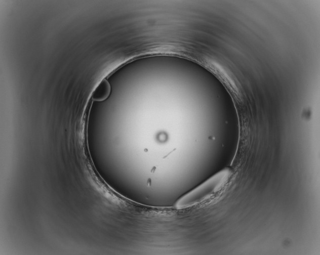 X0000100340900200806121147