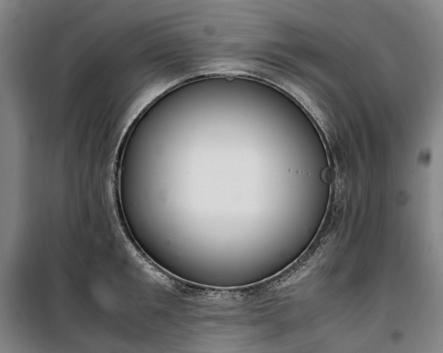 X0000100340901200806121147