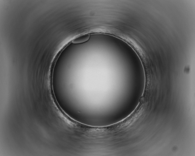 X0000100340902200806121147