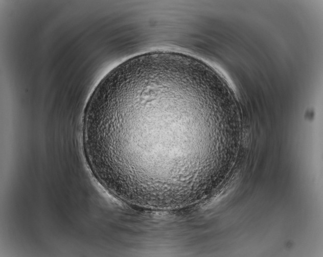 X0000100340903200806121147